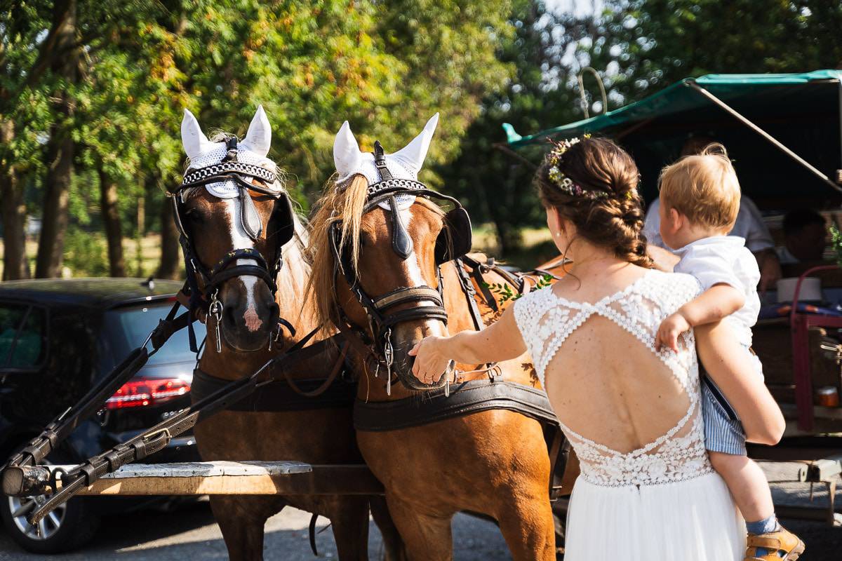 Kutsche Pferde Hochzeit Landhof